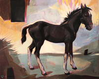 Źrebak śląski - 1