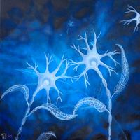 Planto-inteligencja - 1