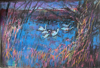 Wieczorne łabędzie - 1