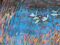 Wieczorne łabędzie - 3