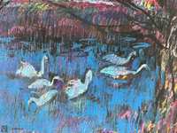 Wieczorne łabędzie - 4