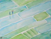 Rytm ryżowych pól 4 - 1