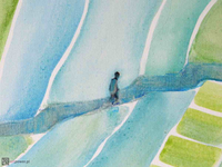 Rytm ryżowych pól 8 - 2