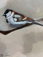 Wróble na drzewie - 2