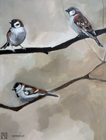 Wróble na drzewie - 3