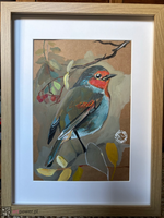 Rudzik z jarzębiną - 1