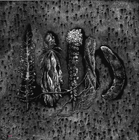 Hortus Conclusus VII - 1