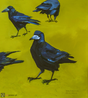 Ptaki I - 2