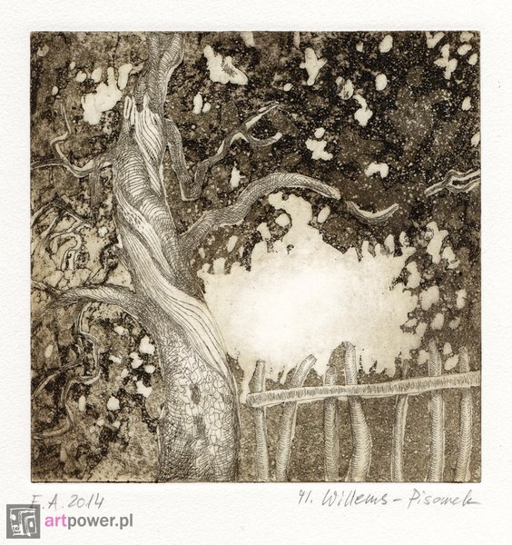 Magdalena Willems-Pisarek