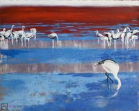 Laguna Colorada 1 - 1