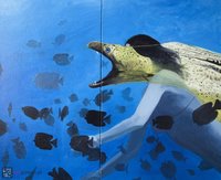 W stronę światła - 1