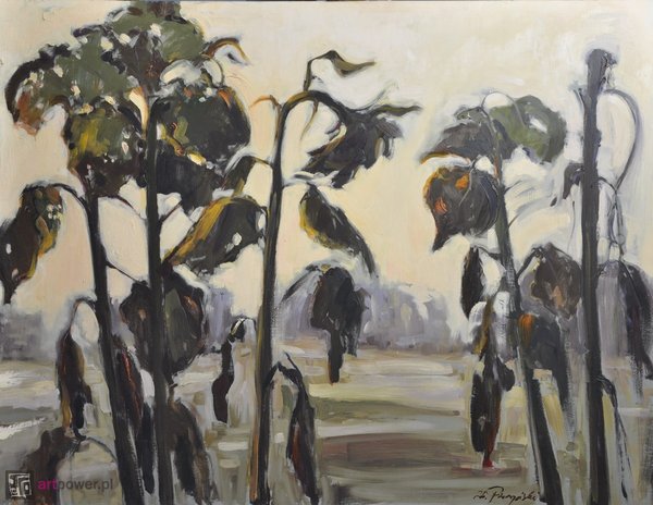 Zbigniew Pieczyński