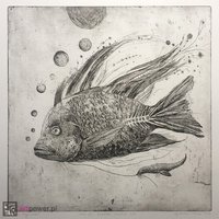 Stella.Stay close - 1