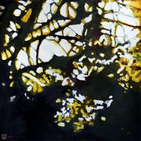 Łapacze słońca 2 - 1