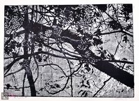 Wiosna z cyklu Organica - 1