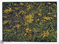 Wrotycz z cyklu Zielnik - 1