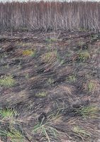 Dywan z traw i liści - 1