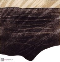 Nasłonecznienie - 1